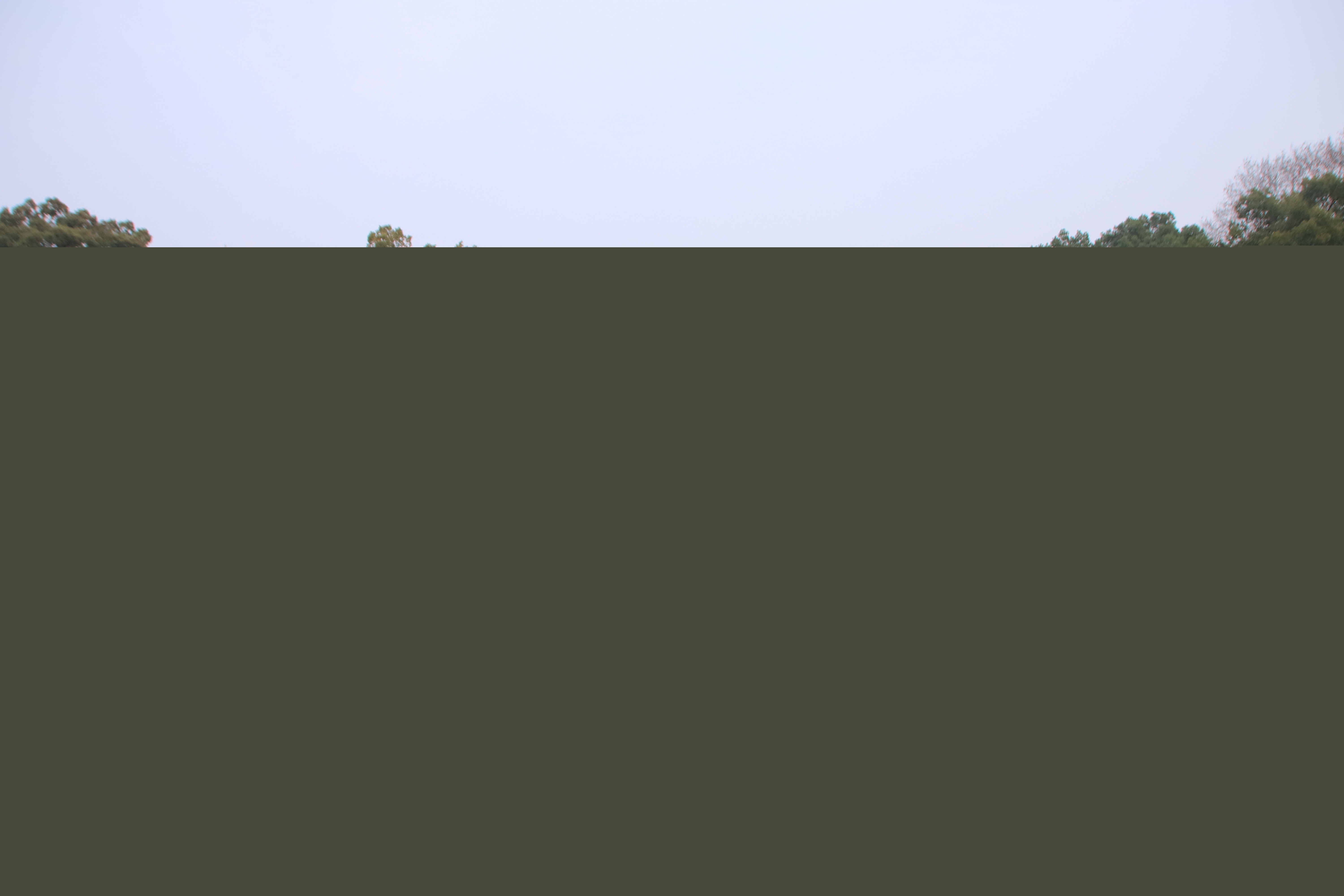 76279B